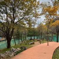ONE Day Trip Jade Dragon Snow Mountain🏔️
