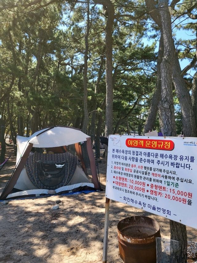 우리나라맞아?아름다운 화진해수욕장