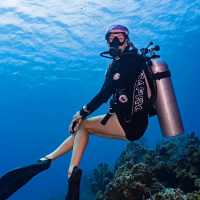 **🌊 Dive into Paradise: Scuba Adventure in Phi Phi Island 🐠**