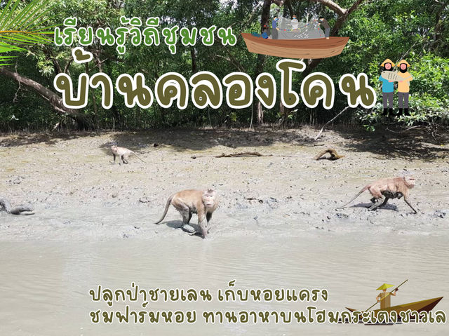 รีวิว คลองโคลน (เรียนรู้วิธีชีวิตและวัฒนธรรม) 📖