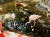 Langkawi Wildlife Park