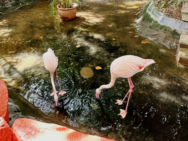 Langkawi Wildlife Park