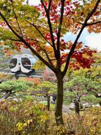 🌳🏠사진명소 곤지암 화담숲 가을에 추천해요💛