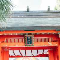 【宮崎】森の中に続く不思議な神社⛩