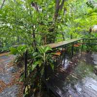 ร้านฟอเรสเต้คาเฟ่ นนทบุรี