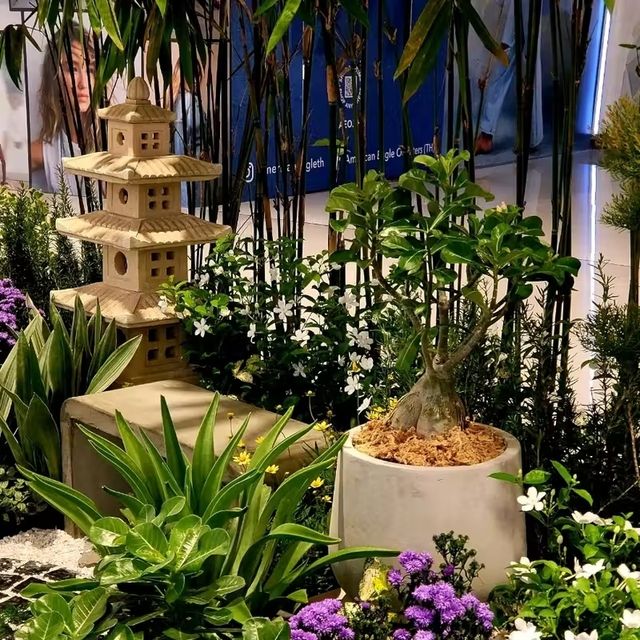เทศกาลไหว้พระจันทร์ (中秋节) 