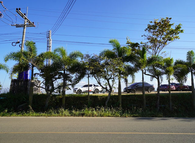 🌳ชมตะวัน แคมป์ปิ้ง