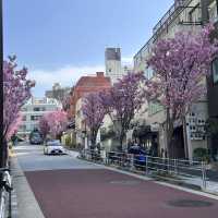 🌸 東京ミッドタウン - 六本木の洗練された都市空間と檜町公園の桜