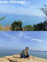 【たったひとつの展示物💧】大自然の中にある美術館と豊島の紹介☀️
