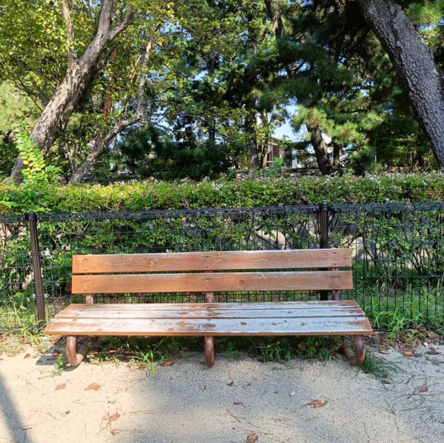 私の100の旅✨おすすめの桜並木の公園『夙川公園』🌸