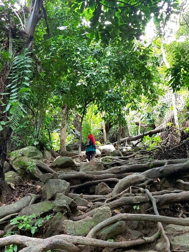 IN HARMONY WITH NATURE 