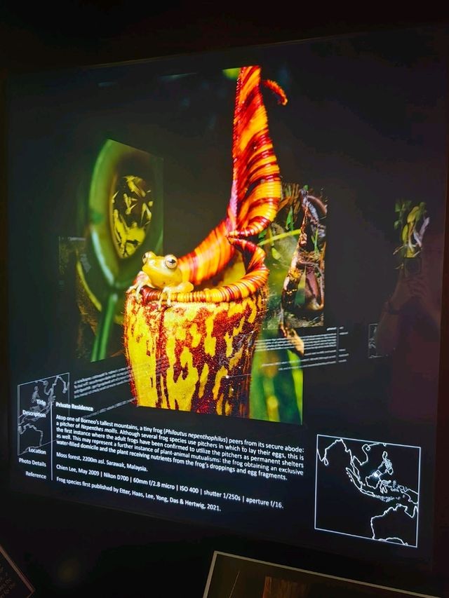 FATAL ATTRACTION Exhibition in GMBB