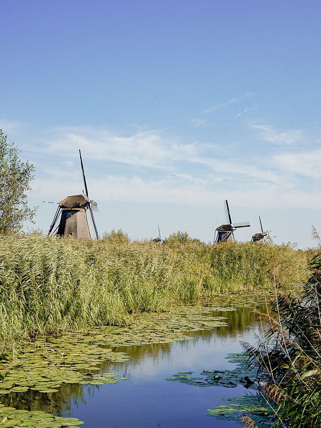📍Kinderdijk UNESCO World Heritage