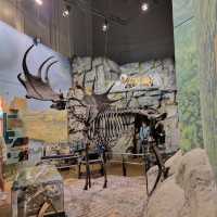 Art and Science Under One Roof
