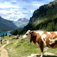 Bringing My Girl to Switzerland