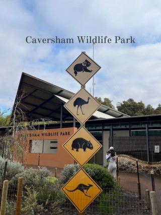 【澳洲/伯斯】與人氣動物們相見歡的動物園