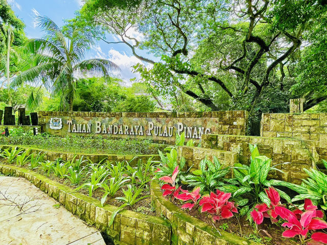 A great place to unwind, or simply enjoy nature 🏃🏻‍♂️🏃🏻‍♀️‍➡️🏃🏻‍➡️👫