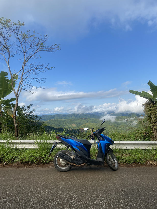 สวนคุณปู่ บ้านผาฮี้ |  จ.เชียงราย 🏡⛰️⛅️🧋
