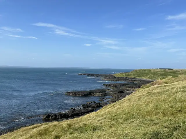 A Journey to Meet the Majestic Ocean - Experiencing the Breath of Nature at Nobbies Centre