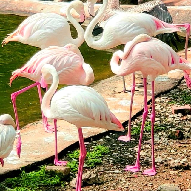 南国のパラダイス♪♪