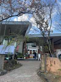 【熊本観光】復興を願うキャンドルの灯りに癒された🕯✨️