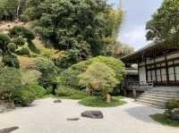 竹寺　鎌倉報国寺
