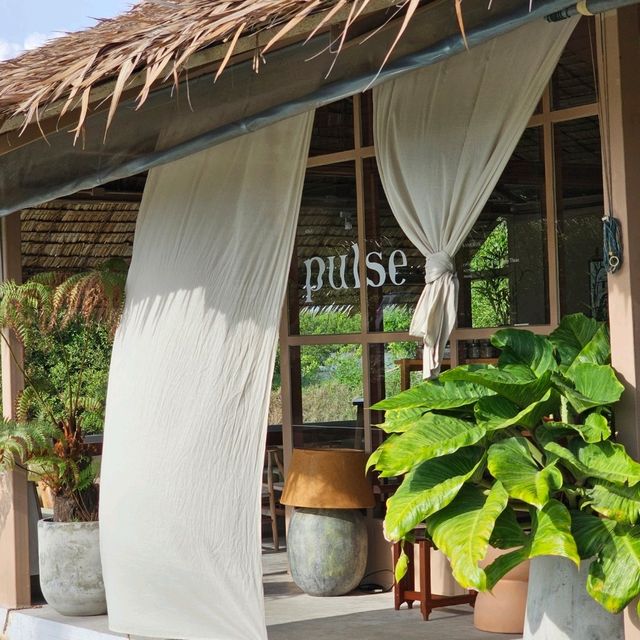 PULSE • บางขุนเทียน