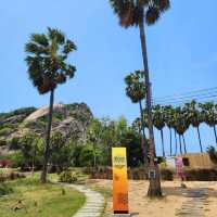 BAMP : beach & cafe
