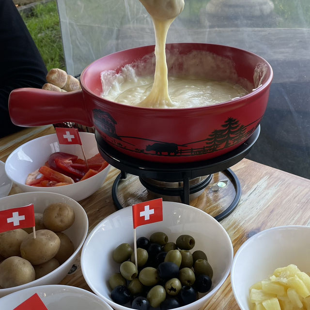 列車で国内周遊の旅🇨🇭