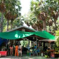 ไปเที่ยวอุโมงค์ต้นตาลที่ จ. เพชรบุรีกัน 🌴🌴