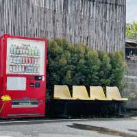 🚋Transit No.8 คาเฟ่สุดดังในเชียงใหม่
