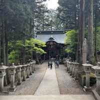 秩父トリップ🫶芝桜と豚みそ
