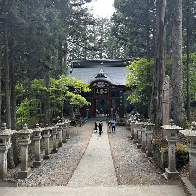 秩父トリップ🫶芝桜と豚みそ