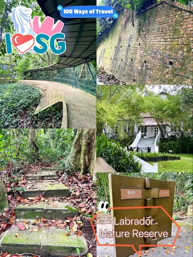 在拉柏多自然保護區健行 