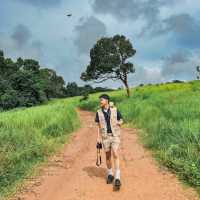 อุทยานแห่งชาติเขาใหญ่ | KHAO YAI National Park 