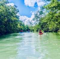 Kayaking Adventure in Pulau Ubin Mangroves