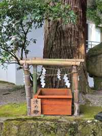 【石川】加賀の国の一ノ宮『白山比咩神社』