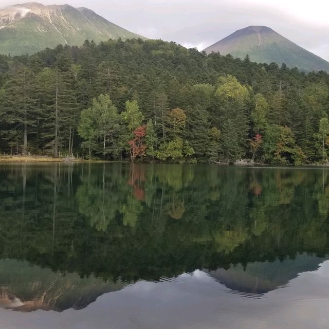 【北海道】摩周国立公園オンネトーが映し出す光景