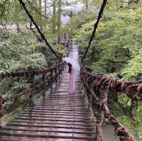 【福井】スリル満点！恋の吊り橋🩵🩵