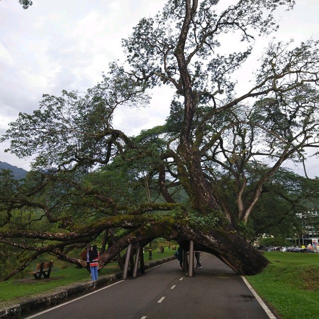 Taiping Lake Garden