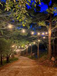 야경이 예쁜 숲뷰 바베큐 숙소🍖🌳