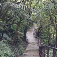 青山瀑布 新北石門景點 北部登山步道