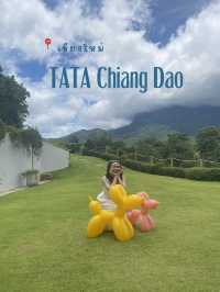 Tata Chiang Dao Cafe  คาเฟ่วิวดอยหลวงเชียงดาว☘️