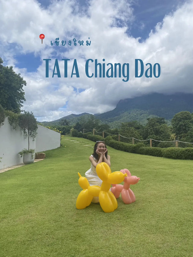 Tata Chiang Dao Cafe  คาเฟ่วิวดอยหลวงเชียงดาว☘️