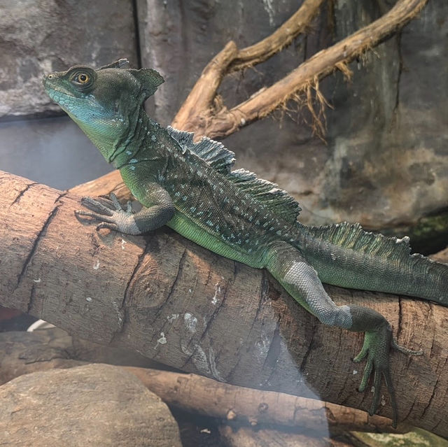 台灣最大的動物園 — 臺北市立動物園🐾