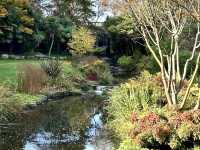 海德公園-倫敦最大的皇家公園，市中心的綠洲，讓人暫時逃離繁囂