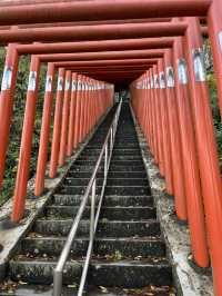 【佐久市】赤い鳥居が階段にずらりと続く神社⛩
