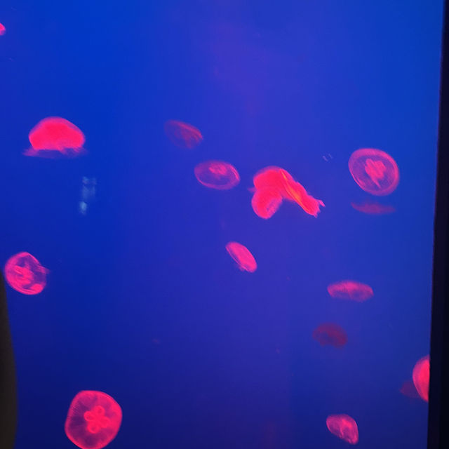 2泊3日大分旅行 おすすめスポット✨