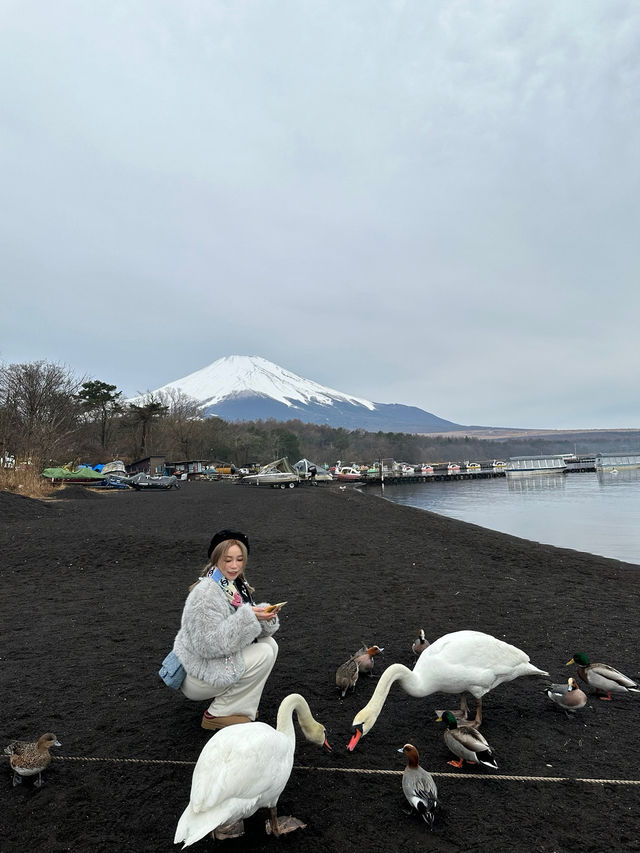非自駕也能遊山中湖（交通分享）
