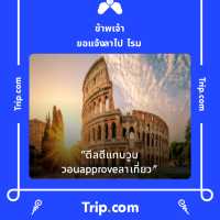 ภูหินร่องกล้า - ลานกางเต็นท์กลางป่าสน